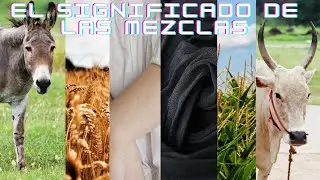 El porque Dios prohibe las mezclas.           Levitico 19:19