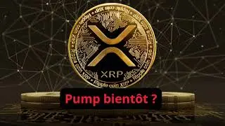 XRP et norme iso 20022 : les gagnants du prochain bull run ?