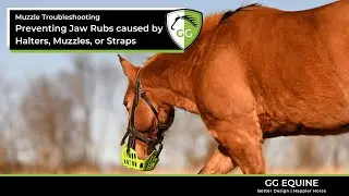 How to Prevent Rubs & Sores on the Jaw area from Muzzles, Halters, and Straps/Stop Rubbing