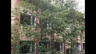 Koulu?