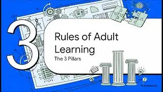 Adult Learning Theory: Transform the Way You Learn After 20