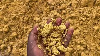 Wet distillers grain used as a high protein feedstuff for ruminants.