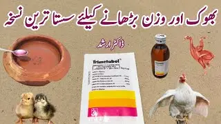 Appetizers for Chickens | How to Help Poultry Birds gain Weight Faster | Dr. ARSHAD