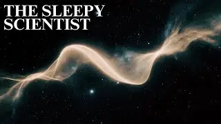 Energy: Nature’s Currency | The Sleepy Scientist