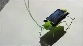 Solar Bug - Amazing Solar Toy