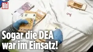 Dealer-Ring gesprengt: Sie verkauften neue Droge 4-CMC | Spanien