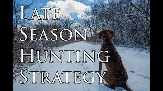Late Season Deer Hunting Strategies - Public Land