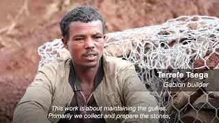 Ethiopia: The Gully Gang - the young men rebuilding and adapting to climate change