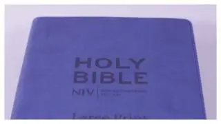 NIV Large Print Single Column Deluxe Reference Bible Soft-Tone