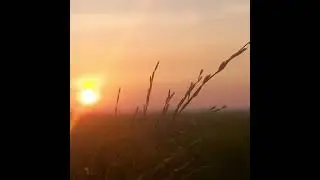 Chiều ho&agrave;ng h&ocirc;n bu&ocirc;ng xuống  10/1/2026