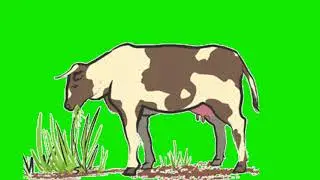 animated cartoon cow green screen video for youtubers