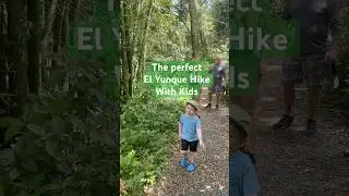The perfect El Yunque hike with kids!  #puertorico #travelwithkids
