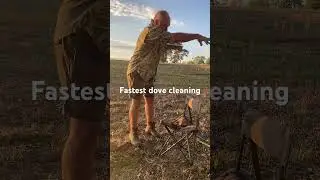 Fastest dove cleaning, 10 seconds or less #hunting #dovehunting #dovehunt