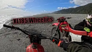 Barrytown Beach Riding