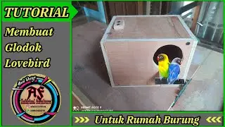 CARA MEMBUAT GLODOK LOVEBIRD DARI TRIPLEK
