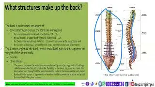 LOWER BACK PAIN -ADVANCE ACUPRESSURE DIAGNOSIS AND TREATMENT