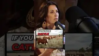 Paying Loans on Cattle
