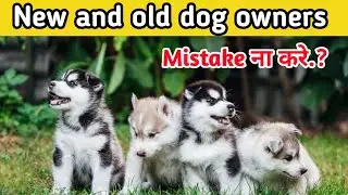 New and old dog owners don't do this mistake 😱