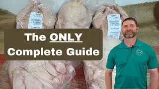 How to Buy Bulk Chicken: The Complete Guide