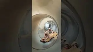 hepi nya MasyaAllah
