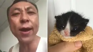 10 Hours of Angry Asian Man Yells at Kitten Meme