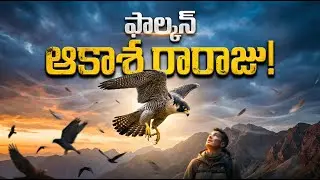 గంటకు 386 కి.మీ వేగం! | The Fastest Animal on Earth - Peregrine Falcon