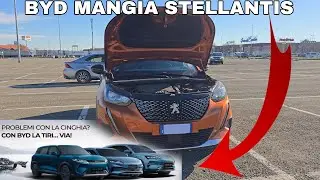 BYD e la GENIALE IDEA DI MARKETING • Fa così pena il 1.2 Puretech?