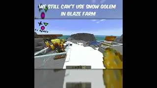 But, we still can't use Snow Golem in blaze farm