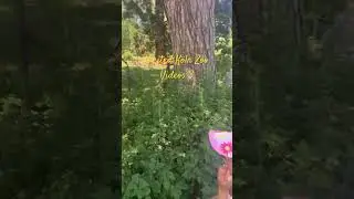 Visited K&ouml;ln Zoo 🕊💖🥰 #viral #baby #trending #shortvideos #youtubeshorts @Tasnia_Tahmid #shorts