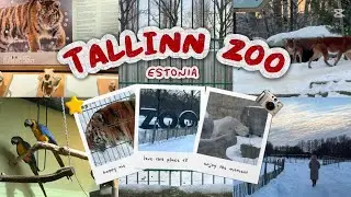 Tallinn Zoo Visit Vlog | Polar bear, Tiger and other amazing animals