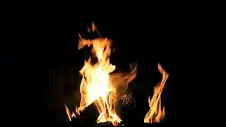Real Crackling Fireplace 10 Hours 🔥 Cozy Fire Sound for Sleep, Study, Focus (No Music)