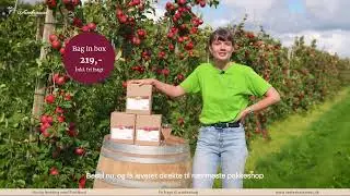 Danskproduceret &AElig;blemost - Bag in box 3x3 Liter 🍎