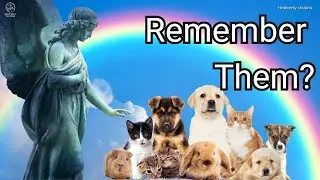 Finding Comfort After Losing a Beloved Pet | A Message of Hope, Prayer, and Remembrance