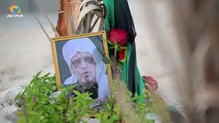 ضجيع الحنان