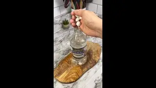 Just put mothballs in vinegar and you will be amazed!