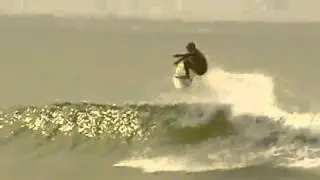 SHREDTACULAR
