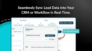 Introducing Webhooks: Real-Time Data Automation with ReachStream API