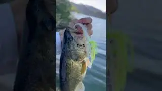 Why You&rsquo;re Still Casting Blind (And Catching Nothing)