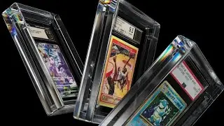 Phantom x Gradedguard PSA case Review!