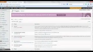 How To Update A Wordpress Plugin From Your Admin Panel Area