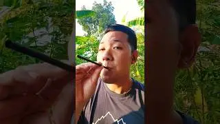 Kok Bisa Ya 😅 