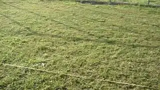MOV07211