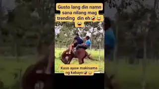 HILARIOUS HORSE😂 #funny #laughtrip #happymoments