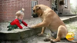 A dog's love for a baby - Heartwarming moments! 🍣 #funny_videos #animals #funny_animals