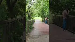 Knob Hill Park