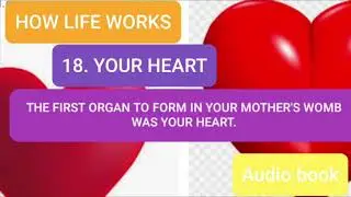 HOW LIFE WORKS, Audio Book, Your Heart, Andrew Matthews, महेन्द्रचावला