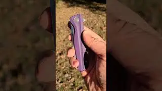 Рок-звезда &mdash; Что сегодня носит Хаггис? Окаменевшая рыба 818. #edc #бюджетныйнож