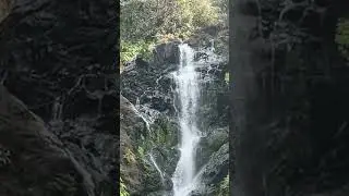 #waterfall #waterfallshorts #greenery #beautiful #travel #vibhoothi #karnataka #gokarna #youtube