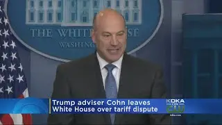 Trump Economic Adviser Gary Cohn To Resign Over Trade Policy