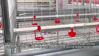 Zeusyang Pullet cage#chicken #automobile #zeus #machine #manufacturing #farming